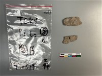 藏品(陶片)的圖片