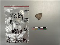 藏品(陶片)的圖片