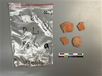 藏品(陶片)的圖片