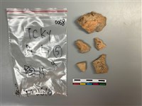 藏品(陶片)的圖片