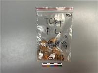 藏品(陶片)的圖片