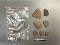 藏品(陶片)的圖片