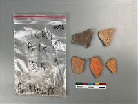 藏品(陶片)的圖片