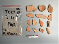 藏品(陶片)的圖片