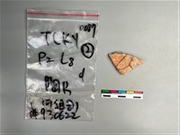 藏品(陶片)的圖片