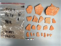 藏品(陶片)的圖片