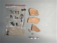 藏品(陶片)的圖片