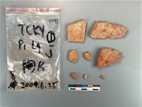 藏品(陶片)的圖片