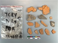 藏品(陶片)的圖片