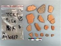 藏品(陶片)的圖片