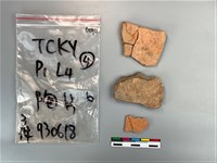 藏品(陶片)的圖片