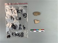 藏品(陶片)的圖片