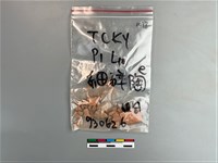 藏品(陶片)的圖片