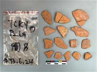 藏品(陶片)的圖片