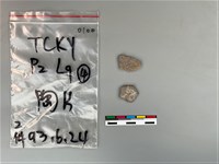 藏品(陶片)的圖片