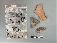 藏品(陶片)的圖片