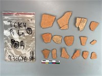 藏品(陶片)的圖片