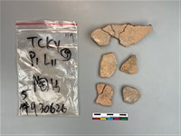 藏品(陶片)的圖片