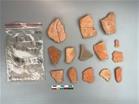 藏品(陶片)的圖片