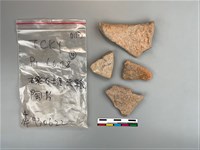 藏品(陶片)的圖片