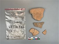 藏品(陶片)的圖片