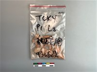 藏品(陶片)的圖片