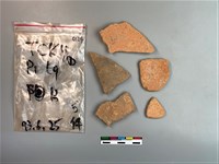 藏品(陶片)的圖片