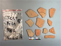 藏品(陶片)的圖片