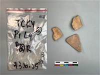 藏品(陶片)的圖片