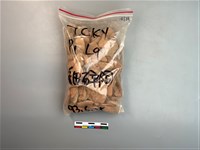 藏品(陶片)的圖片