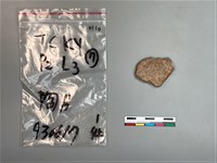 藏品(陶片)的圖片