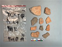 藏品(陶片)的圖片