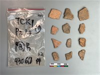 藏品(陶片)的圖片