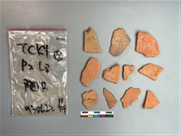 藏品(陶片)的圖片