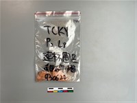 藏品(陶片)的圖片