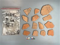 藏品(陶片)的圖片