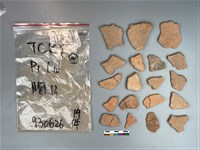 藏品(陶片)的圖片