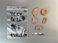 藏品(陶片)的圖片