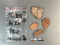 藏品(陶片)的圖片