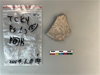 藏品(陶片)的圖片