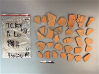 藏品(陶片)的圖片