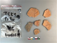 藏品(陶片)的圖片