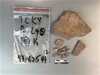 藏品(陶片)的圖片