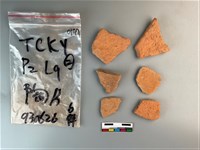 藏品(陶片)的圖片