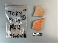 藏品(陶片)的圖片