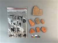 藏品(陶片)的圖片