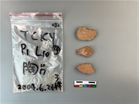 藏品(陶片)的圖片