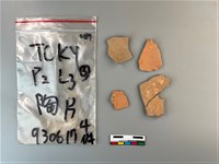 藏品(陶片)的圖片