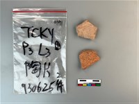 藏品(陶片)的圖片