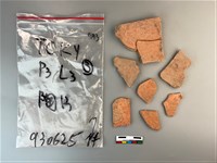 藏品(陶片)的圖片